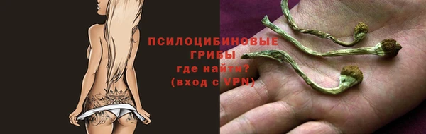 ECSTASY Медвежьегорск
