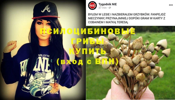 наркотики Михайлов