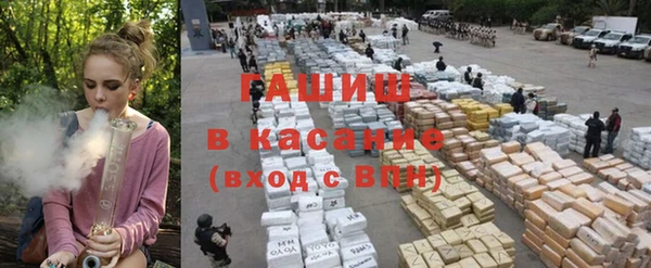 стафф Михайловск