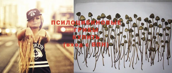 стафф Михайловск
