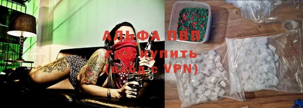 стафф Михайловск