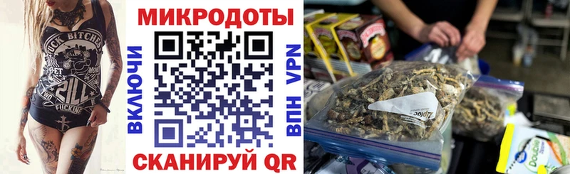 Купить закладки  Полтавская  Галлюциногенные грибы прущие грибы 